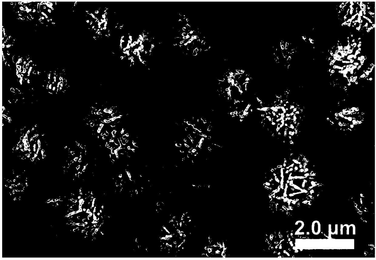 Preparation method of nano-particle assembled flower-shaped iron sub-micron particles