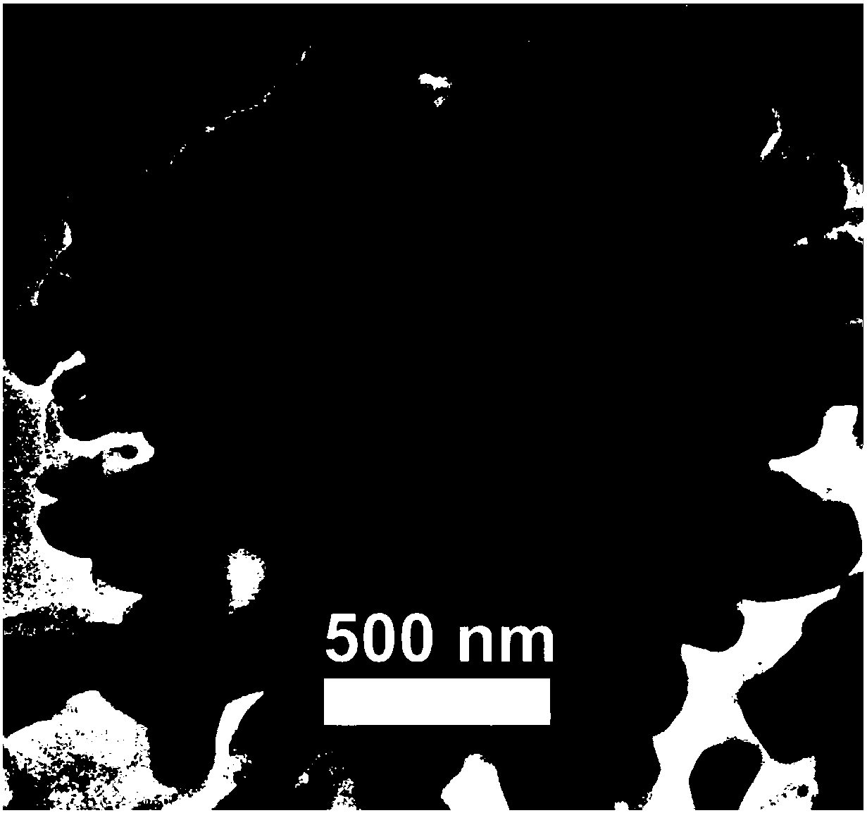 Preparation method of nano-particle assembled flower-shaped iron sub-micron particles