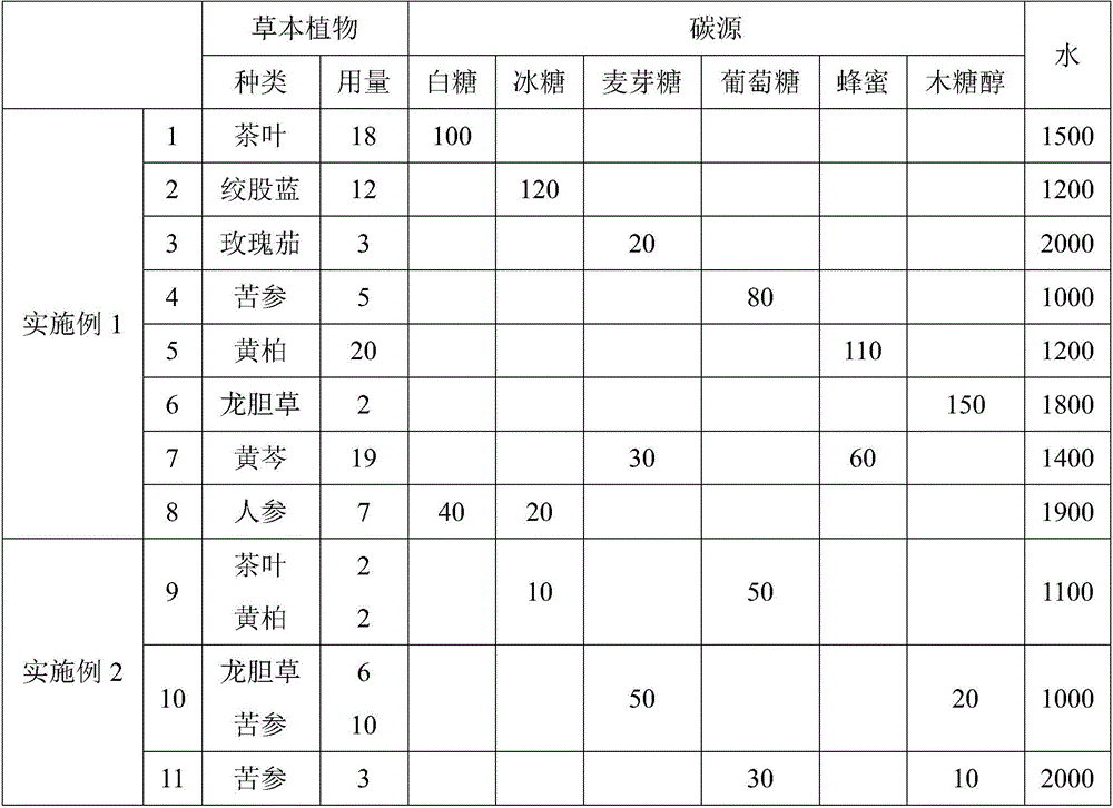 Biological bacterium film as well as preparation method, maintenance method and application thereof