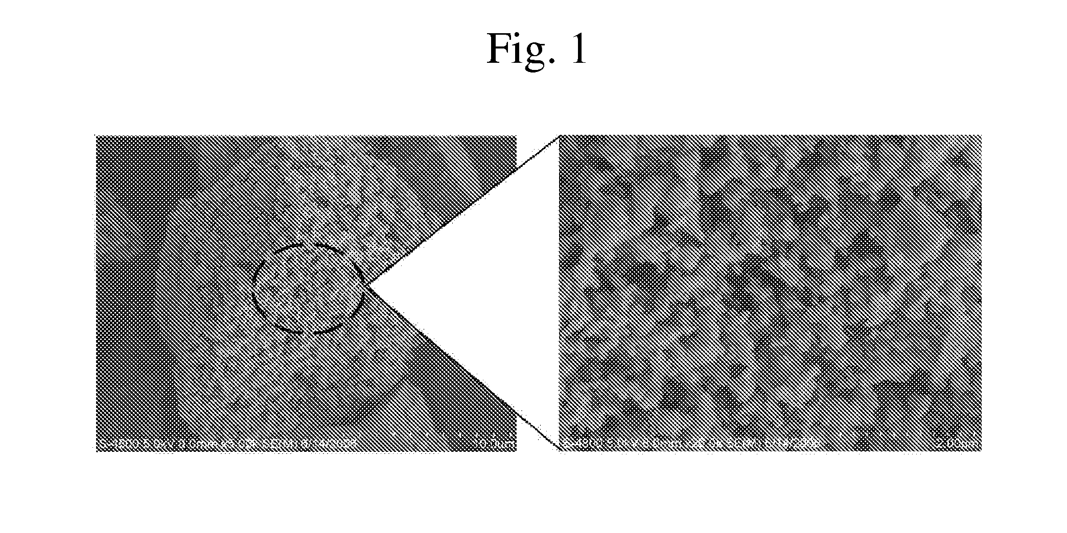 Electrode active material for secondary battery and method for preparing the same