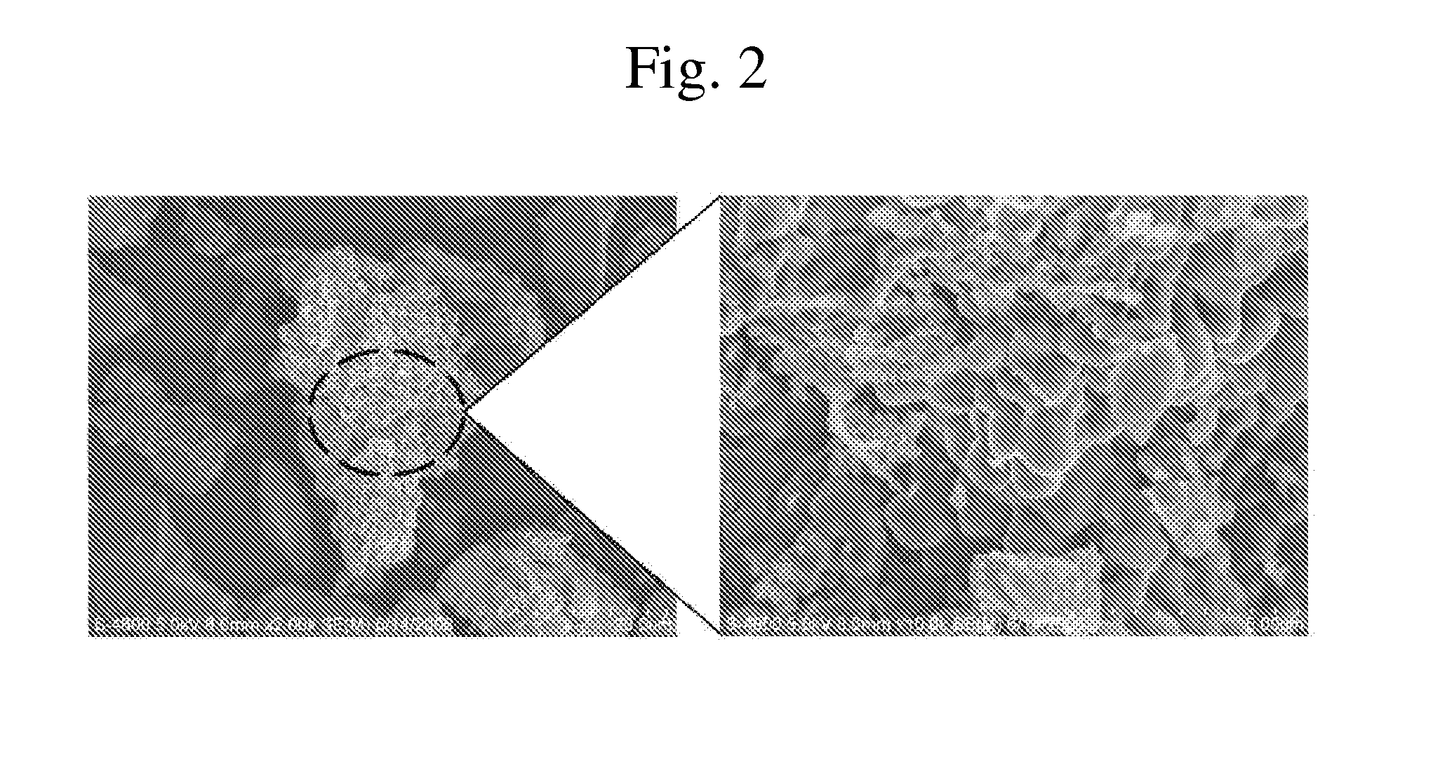 Electrode active material for secondary battery and method for preparing the same