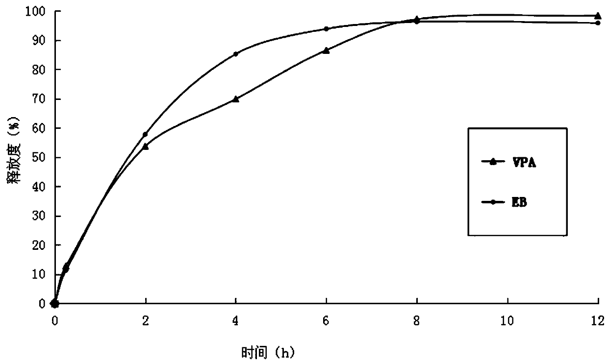 Nerve cell protective agent and application thereof in epilepsy prevention and treatment