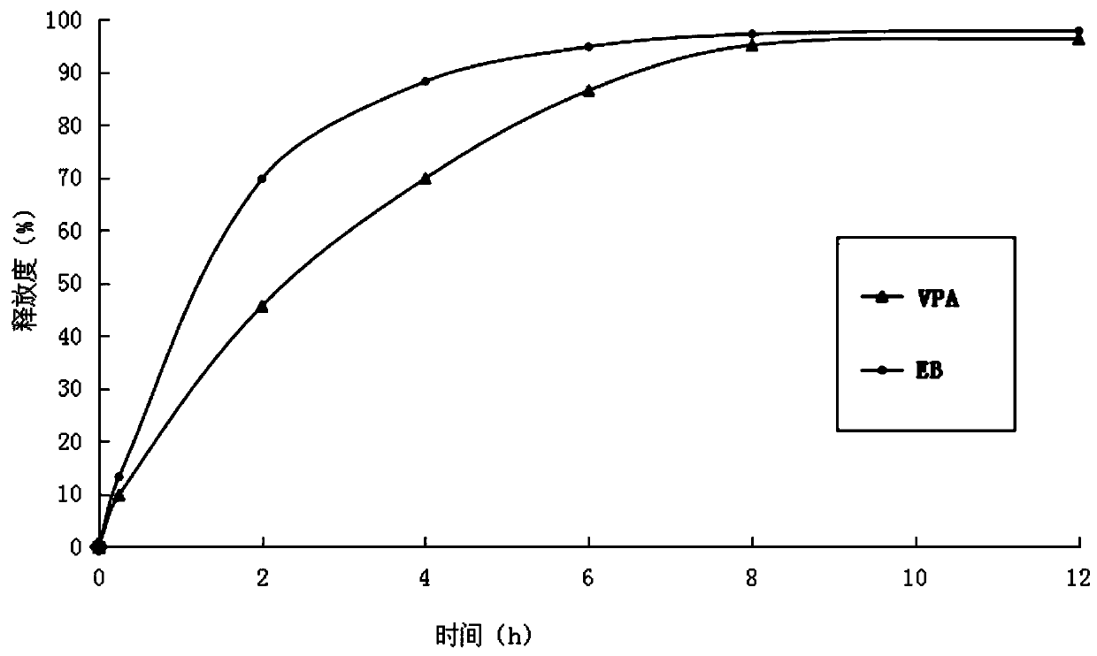 Nerve cell protective agent and application thereof in epilepsy prevention and treatment