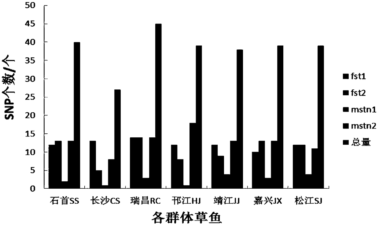 An SNP Marker associated with the growth of grass carp in Hanjiang and Ruichang of the Yangtze river system