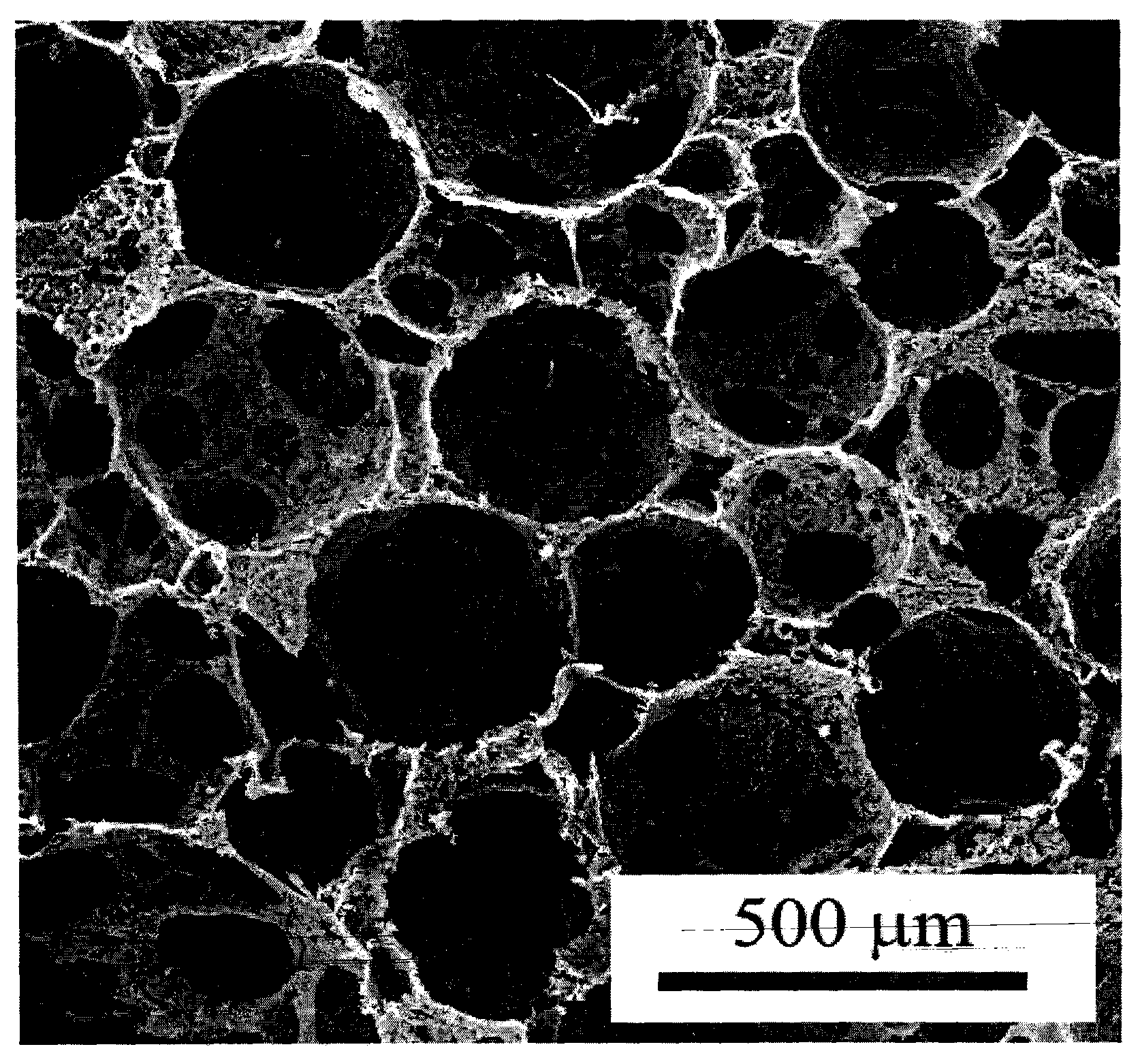 Multi-layer porous scaffold and preparation method thereof