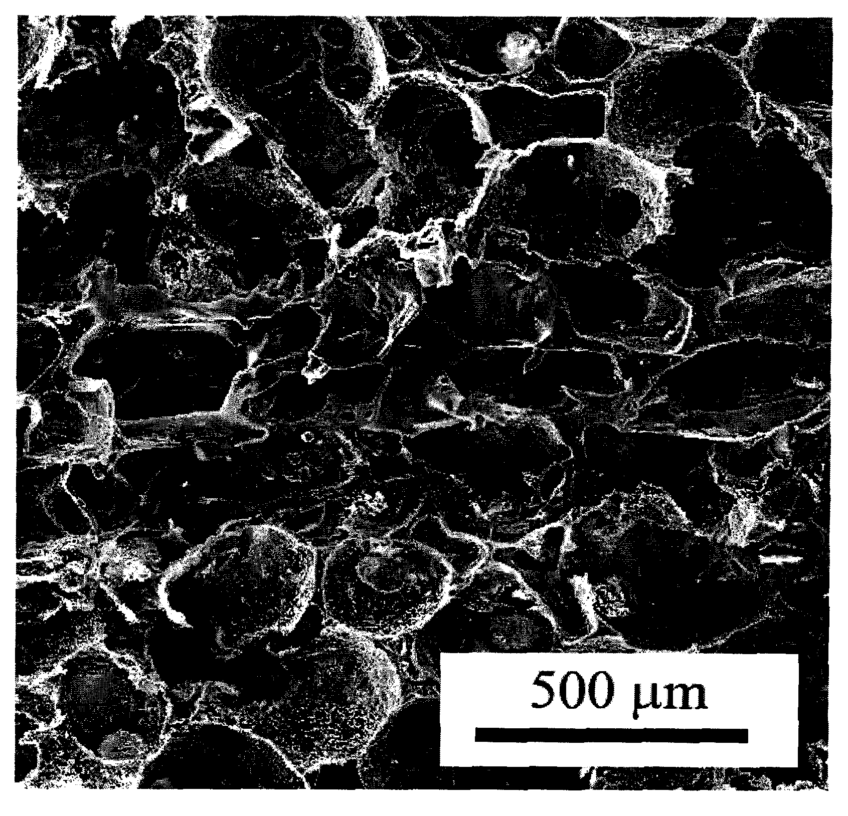 Multi-layer porous scaffold and preparation method thereof