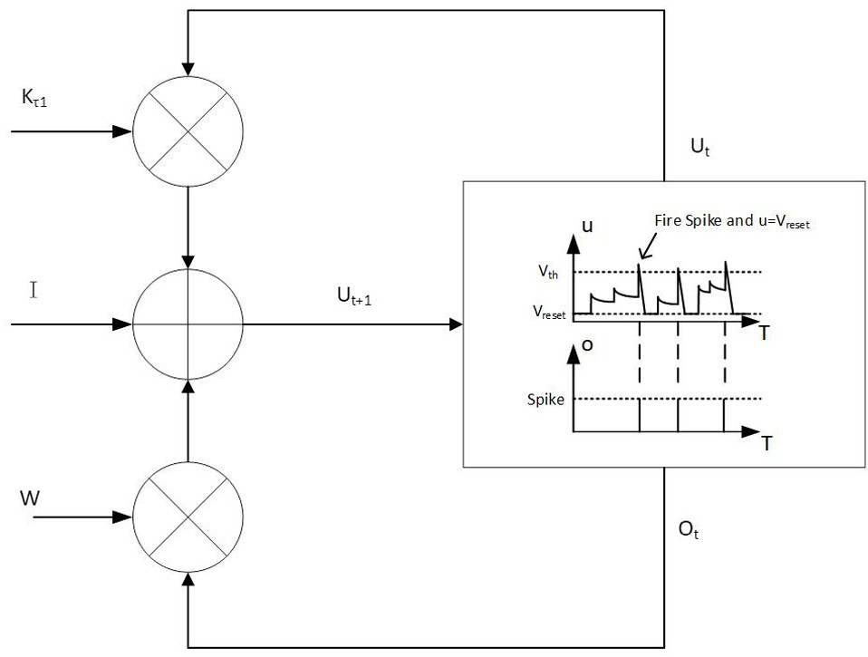 Burn area segmentation system based on pulse neural network U-shaped model