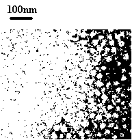 Targeting polypeptide-gene composite as well as preparation method and application of composite
