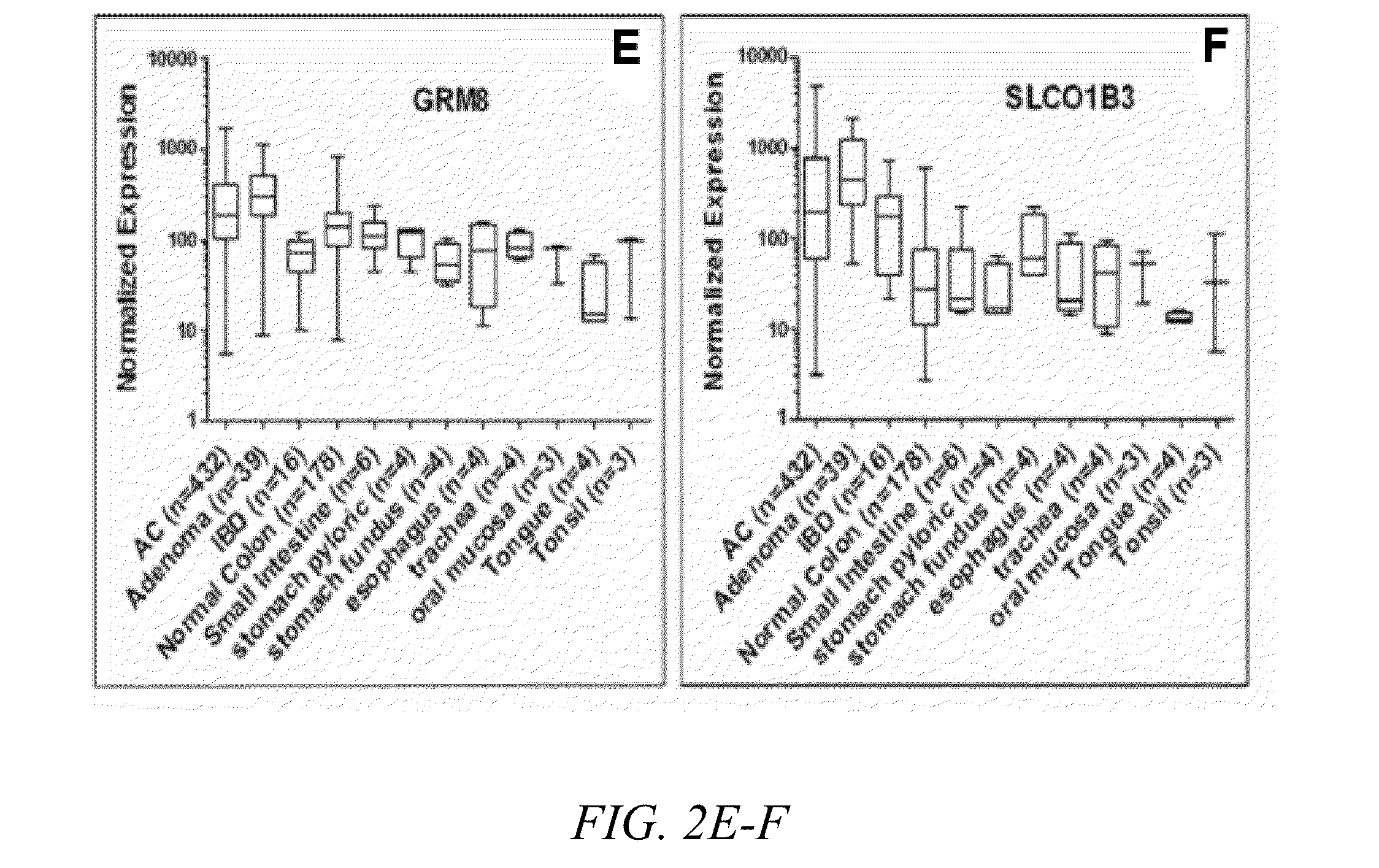 Method of screening for colon cancer using biomarkers