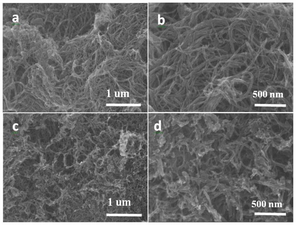 N, S co-doped porous carbon coated carbon nanotube bifunctional oxygen electrode catalyst and preparation method thereof