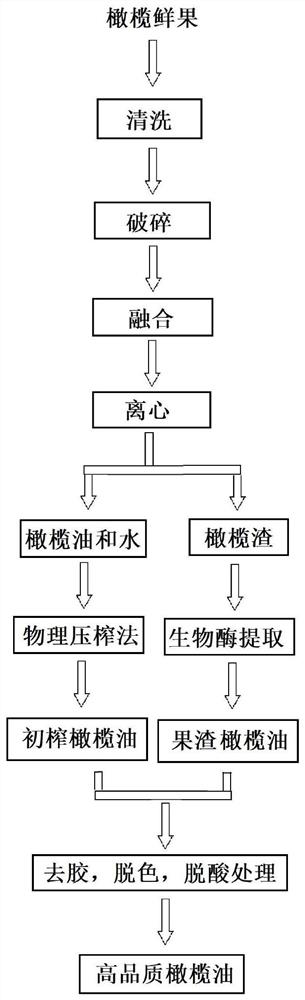 High-quality olive oil processing technology