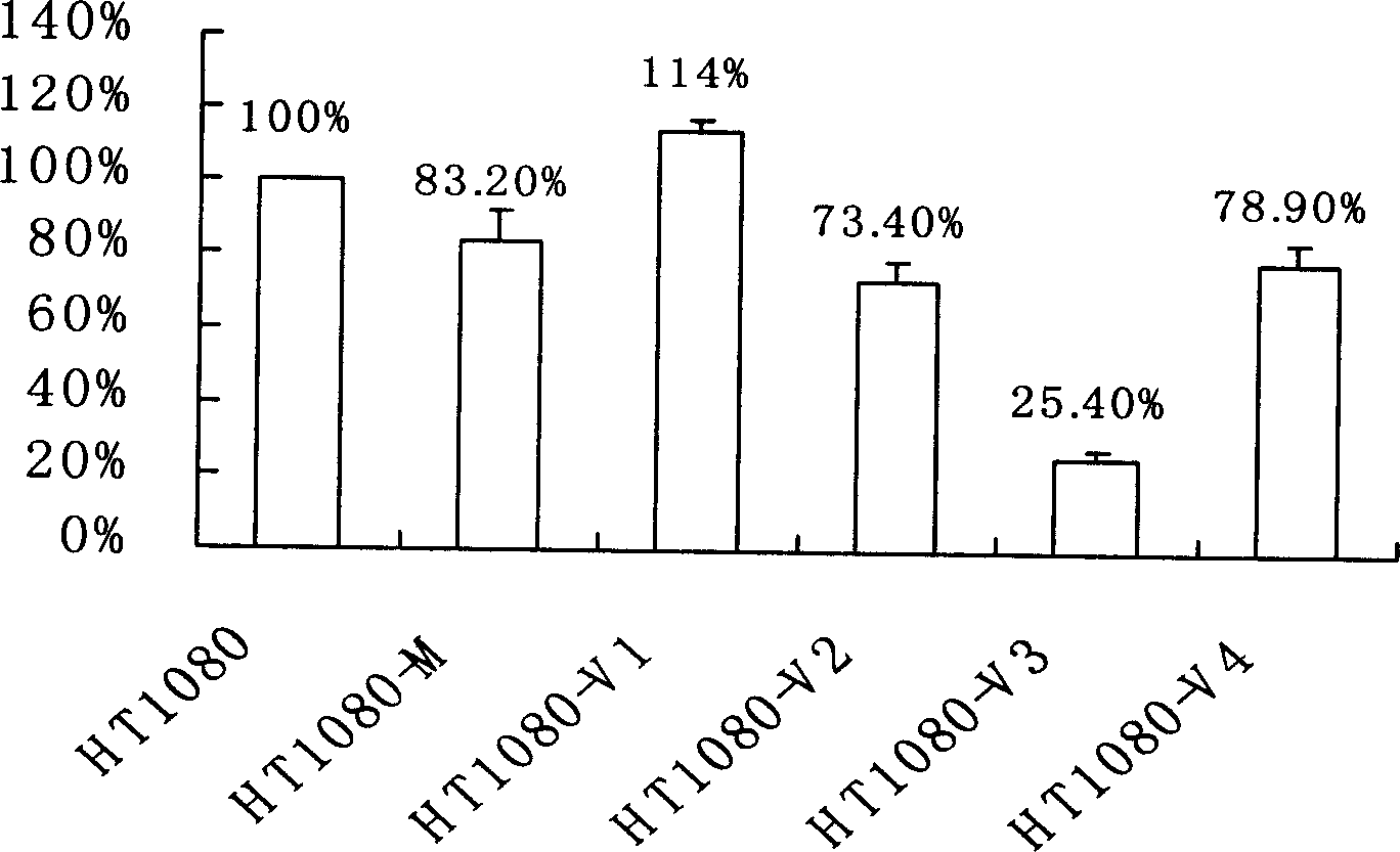 Carrier PCD-VEGF able to stable express VEGF shRNA