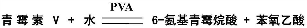 A kind of penicillin v acylase mutant, coding sequence, recombinant expression vector, genetic engineering bacteria and application