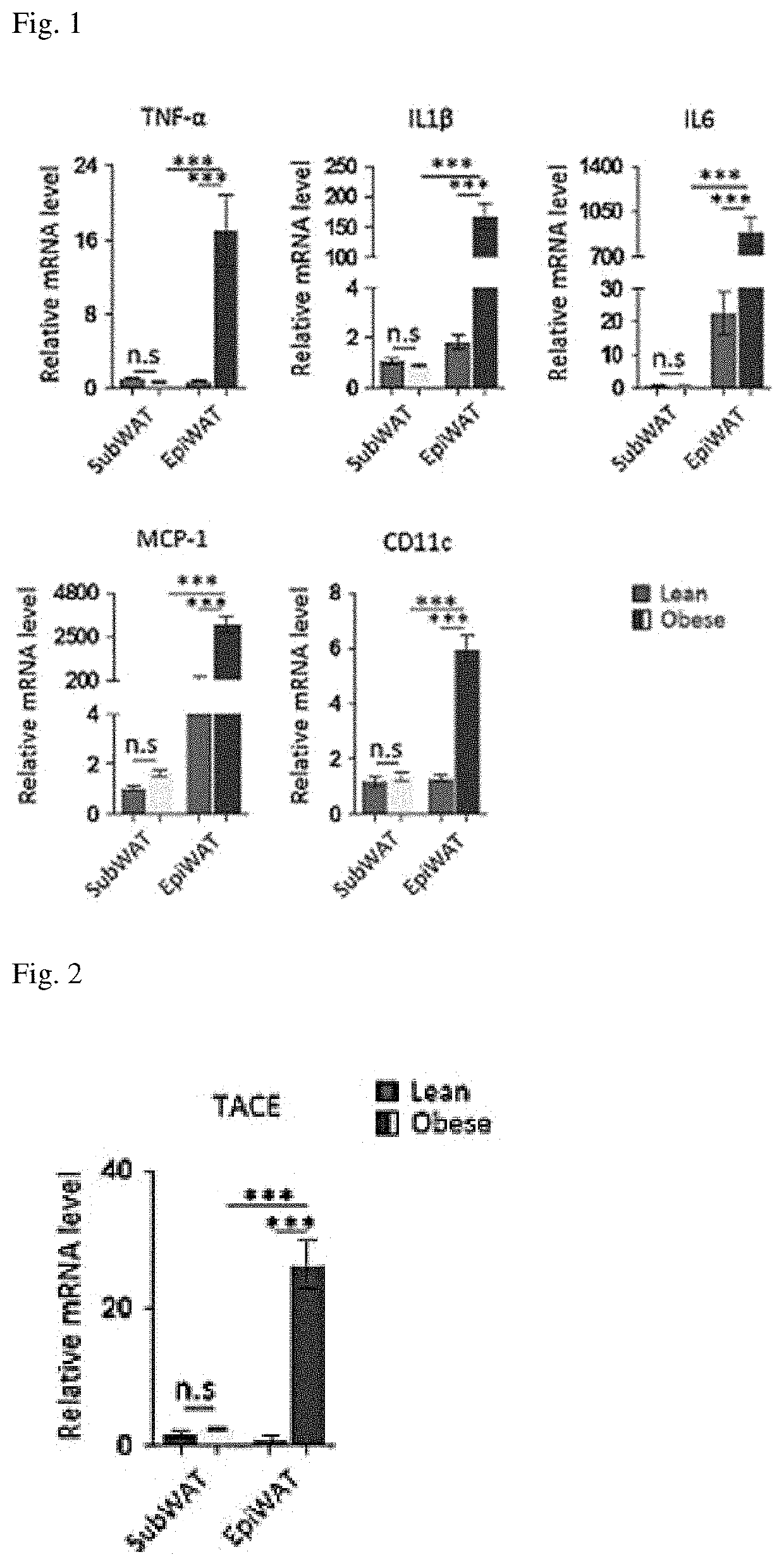Visceral adipose tissue macrophage-targeted gene/carrier complex for preventing or treating obesity-induced type II diabetes