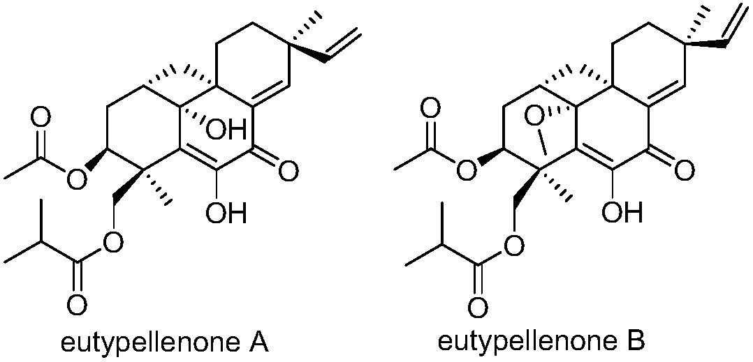 Pimarane diterpene compounds containing four-membered rings and antitumor application thereof