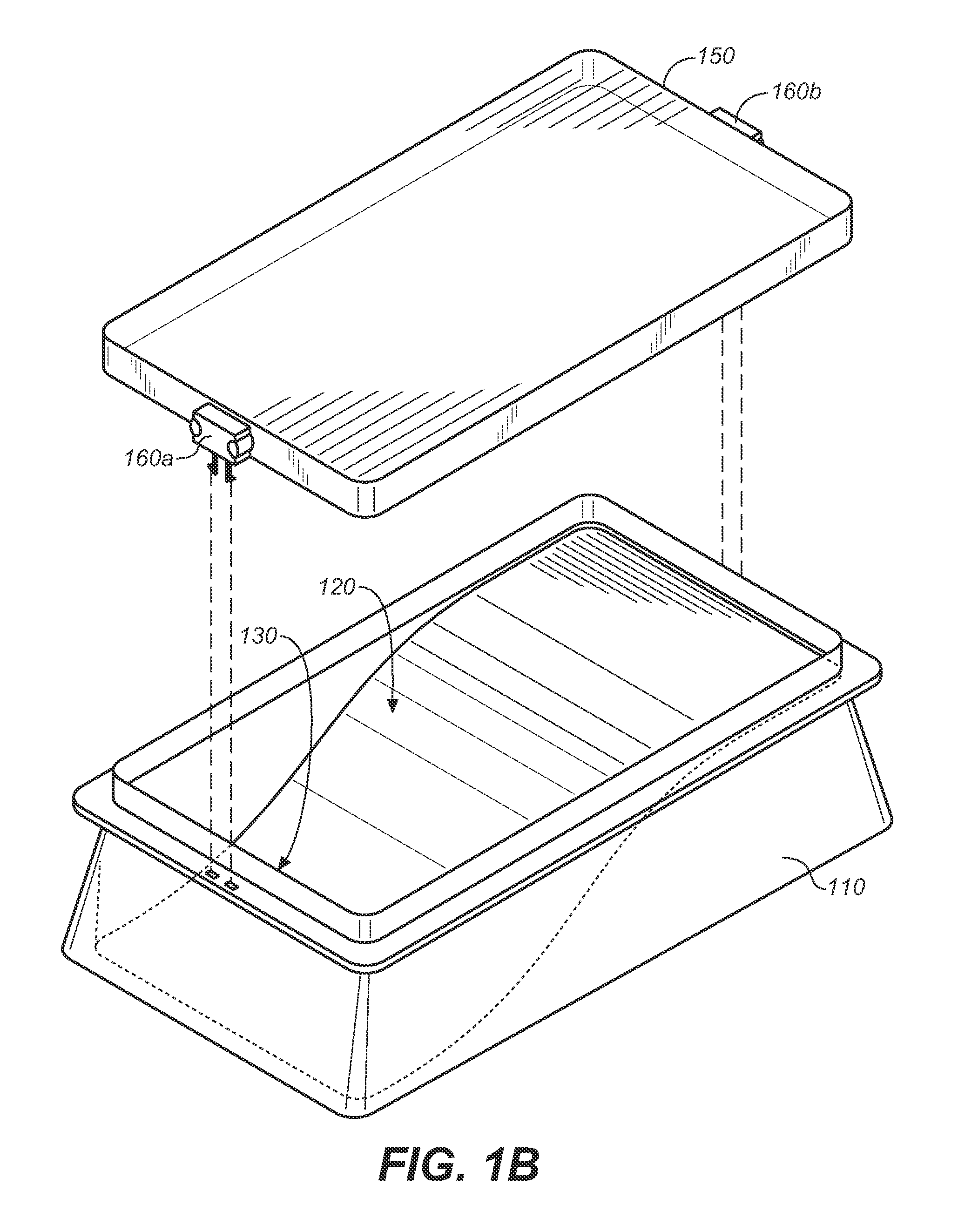 Method and apparatus for improving the appearance of nails affected by onychomycosis through the topical application of an aqueous solution containing boric acid and camphor or other terpenes