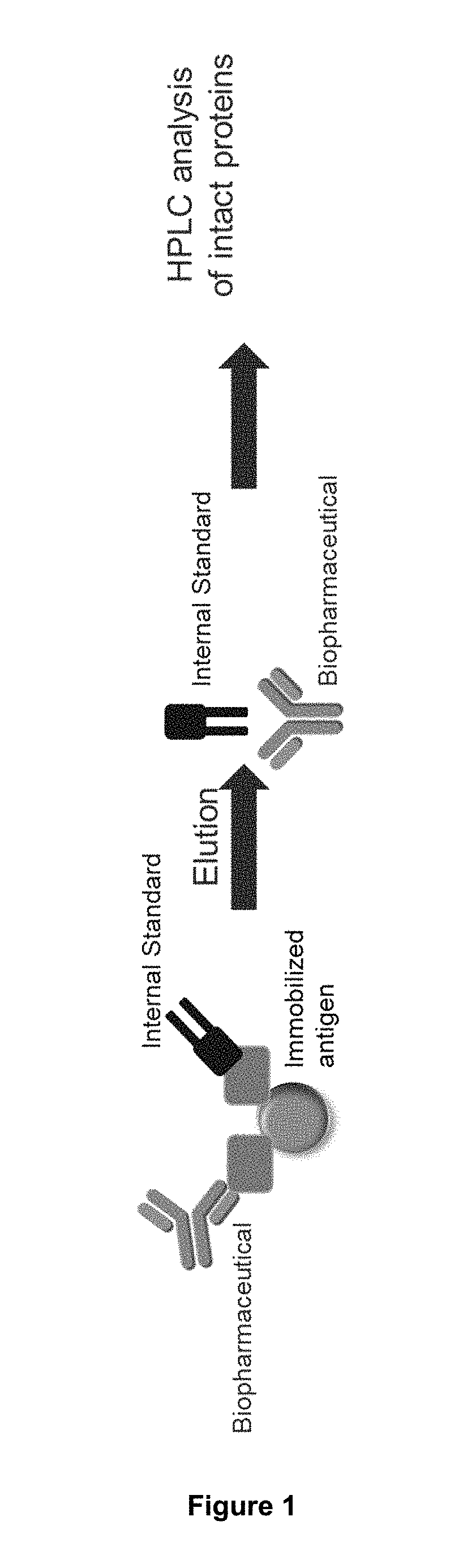 Methods of Mapping Protein Variants