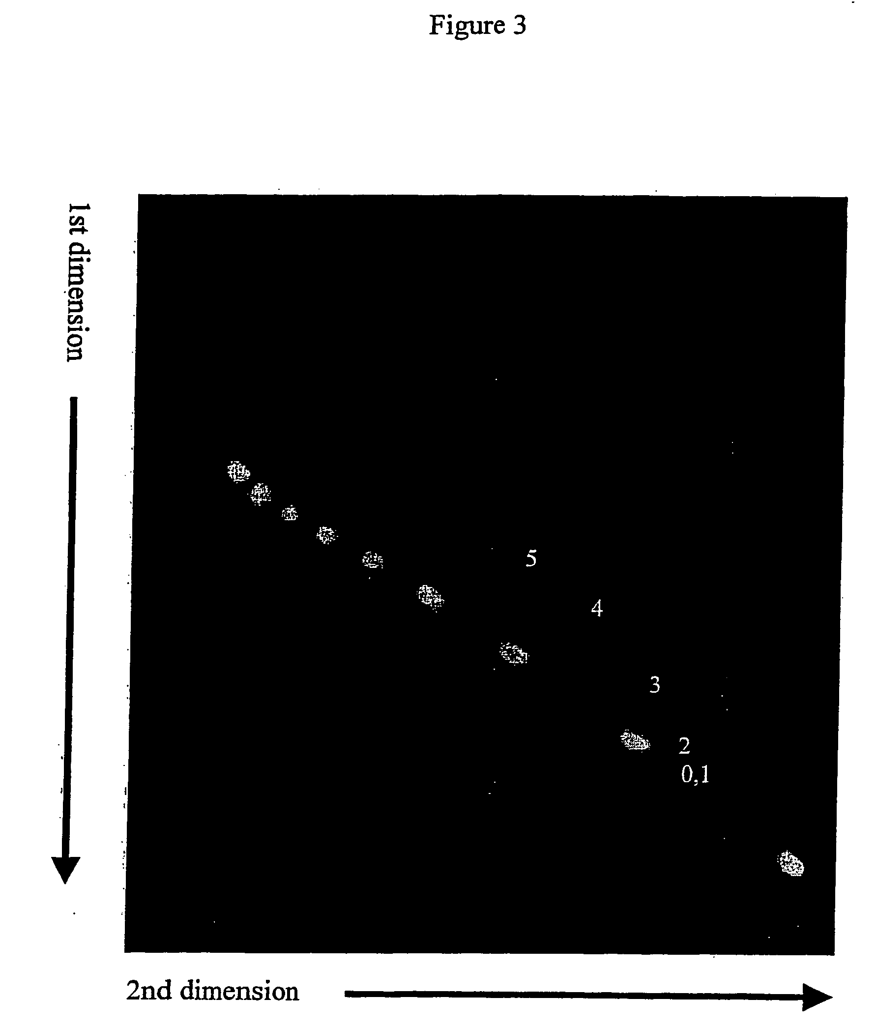 Method for two-dimensional conformation-dependent separation of non-circular nucleic acids