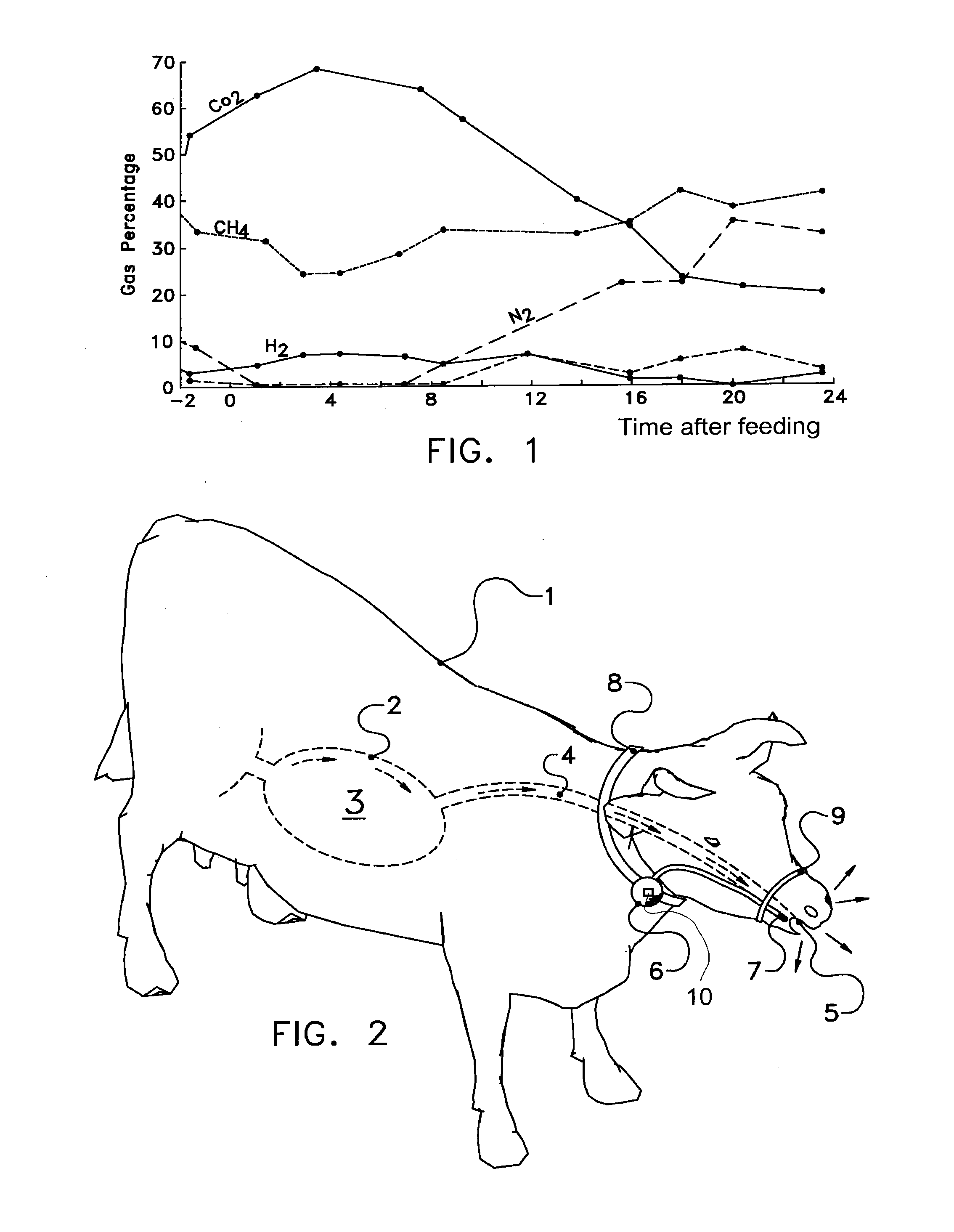 Method and device for determining greenhouse gas, in particular methane, emitted by a ruminant, in particular a diary animal