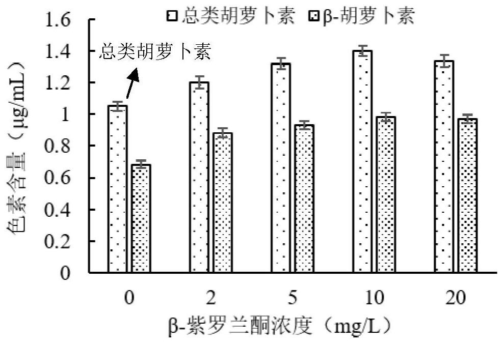 A method for promoting the accumulation of carotenoids and β-carotene in Dunaliella by utilizing β-ionone