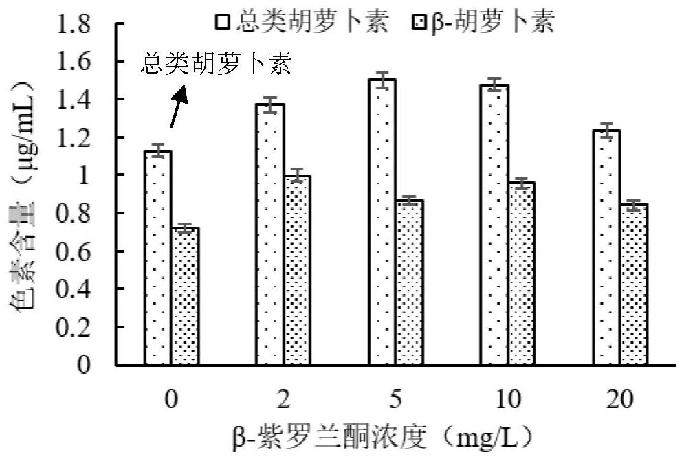 A method for promoting the accumulation of carotenoids and β-carotene in Dunaliella by utilizing β-ionone