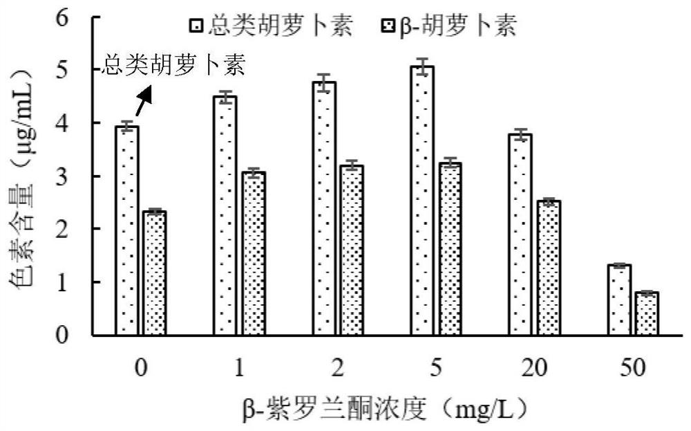 A method for promoting the accumulation of carotenoids and β-carotene in Dunaliella by utilizing β-ionone