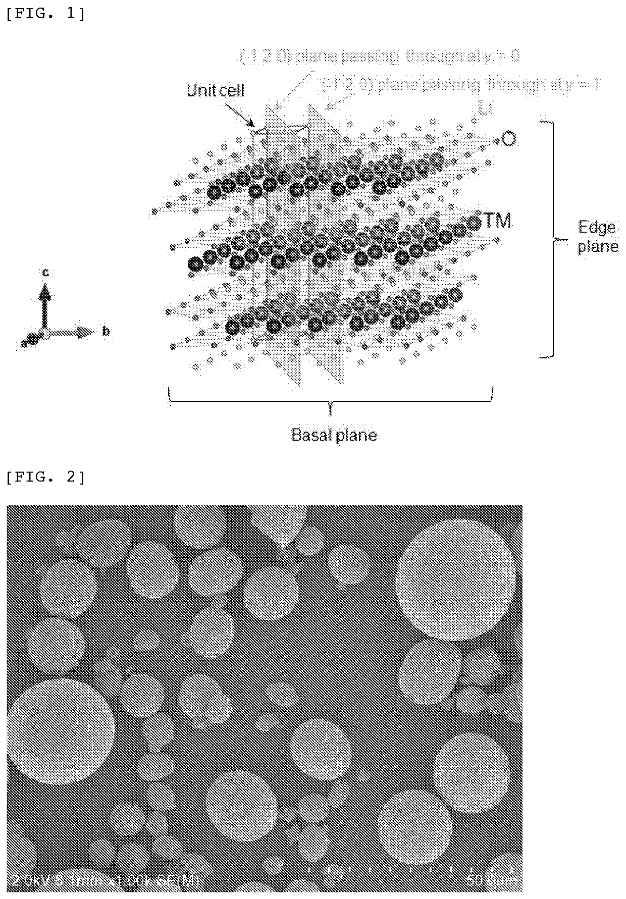 Positive electrode active substance particles comprising lithium nickelate composite oxide, and non-aqueous electrolyte secondary battery