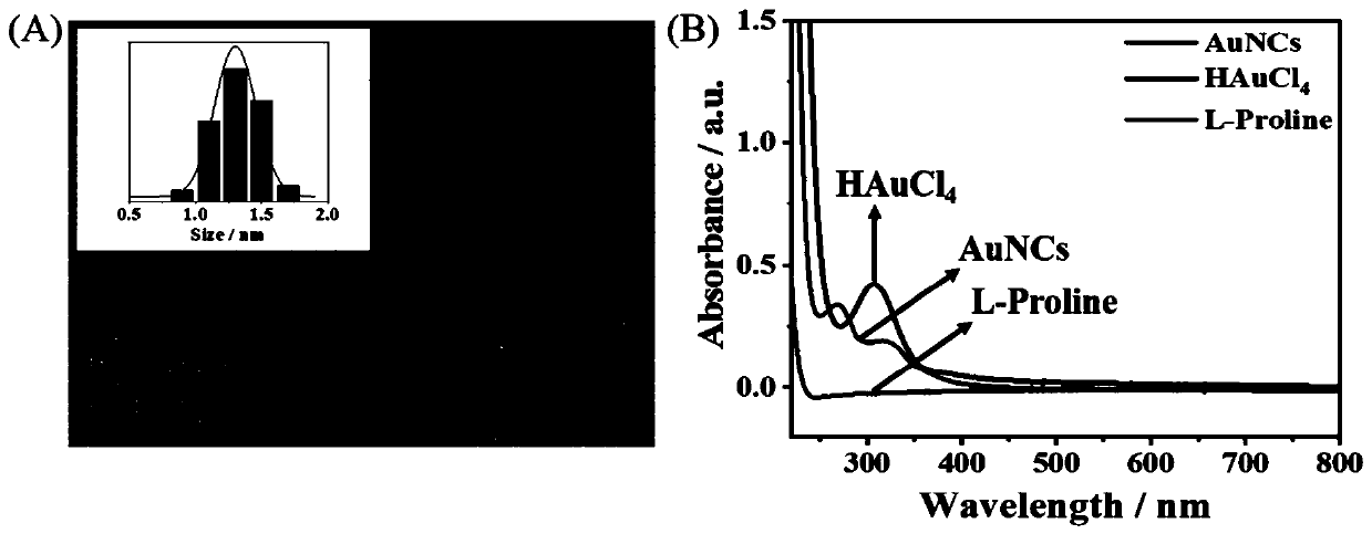 Mercury ion detection method based on enzymatic reaction double-emission fluorescent probe