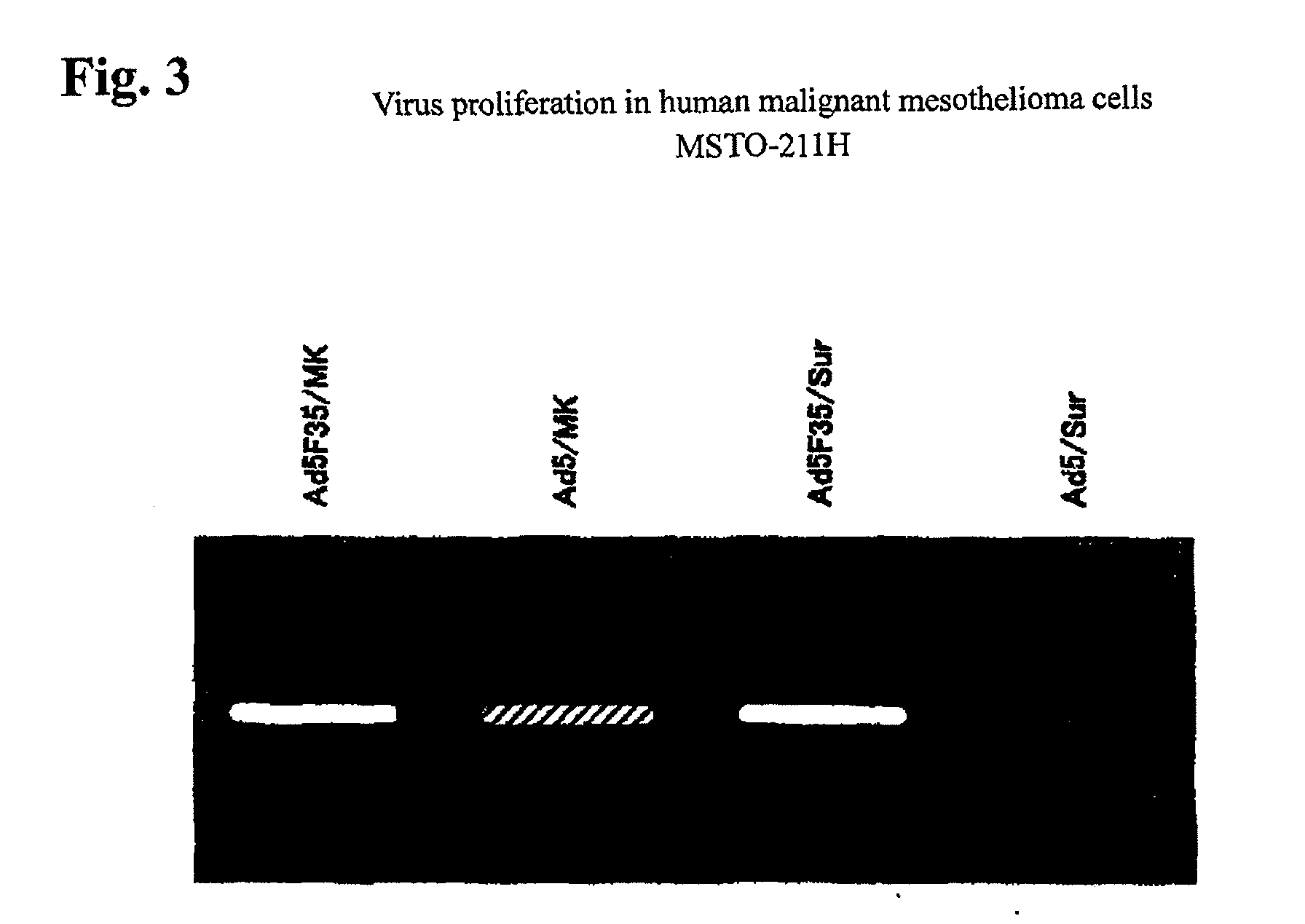 Chimeric adenovirus, method for producing the same and pharmaceutical using the same