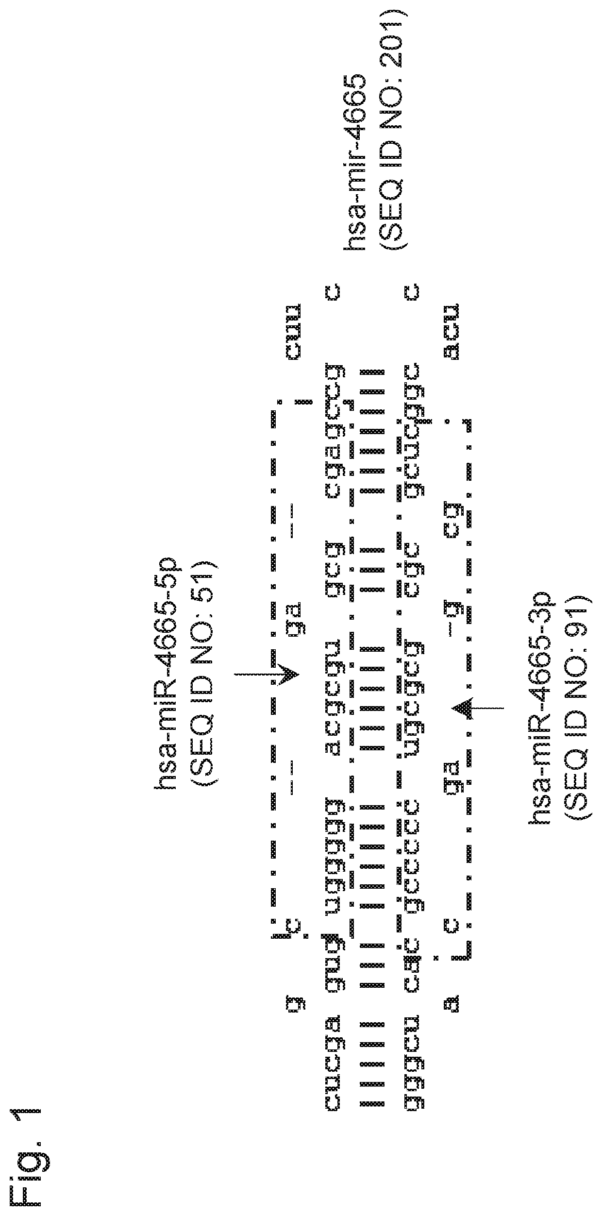 Biliary tract cancer detection kit or device, and detection method