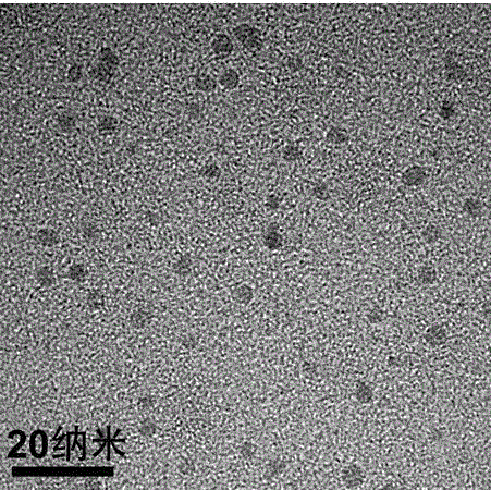 Zinc oxide-gadolinium-drug composite nanoparticle, and preparation method and application thereof
