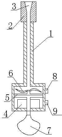 Water pipe descaling device