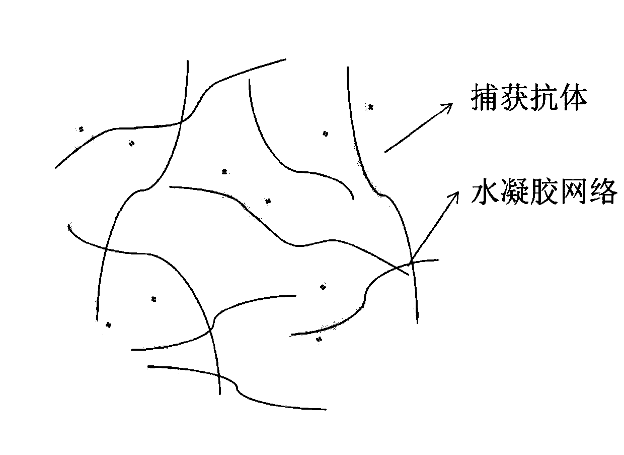 Method for determining follicle-stimulating hormone