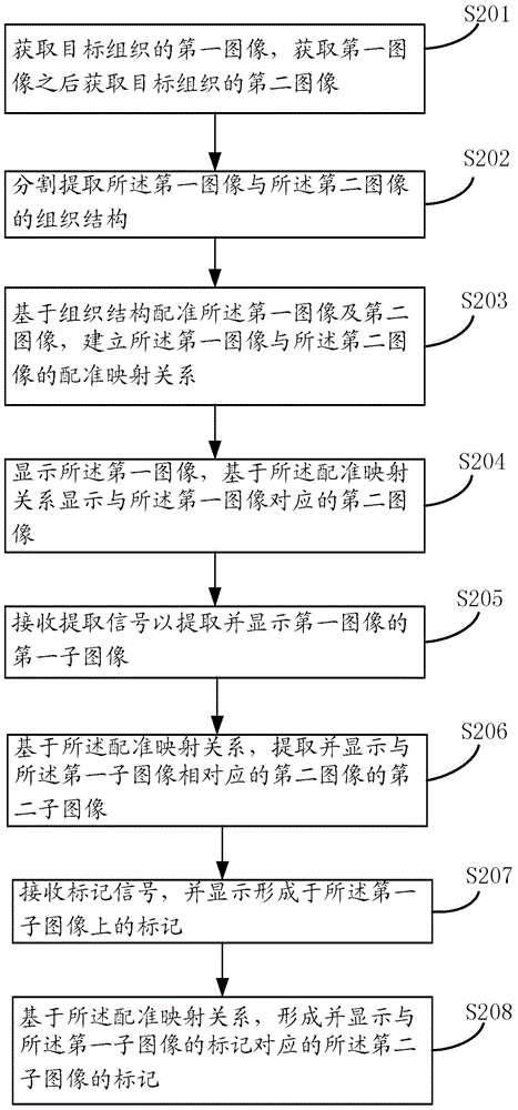 Image processing system and method