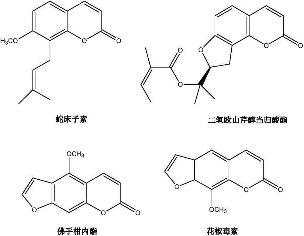 Method for preparing radix angelicae pubescentis extract with pine wood nematode killing activity and application thereof