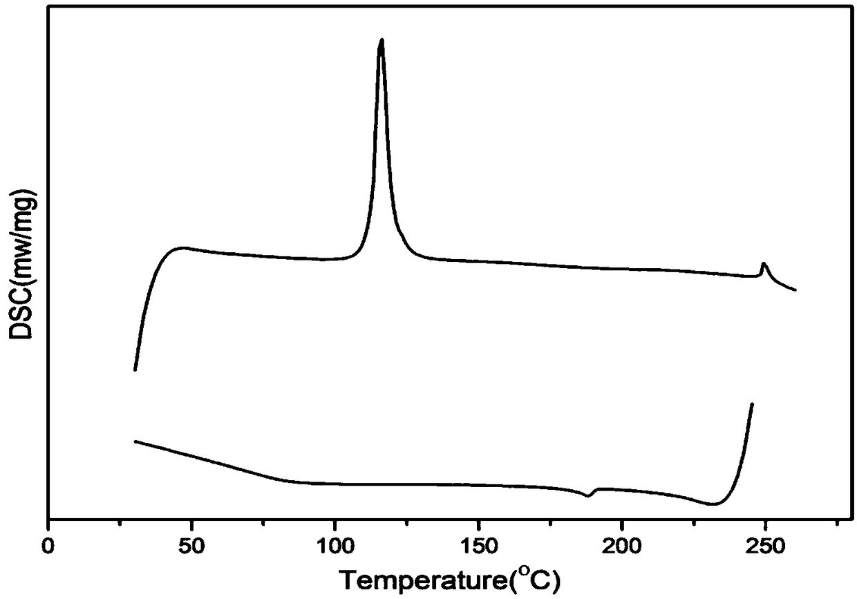 Bonded fluorescent rare earth liquid crystal ionomer and preparation method thereof