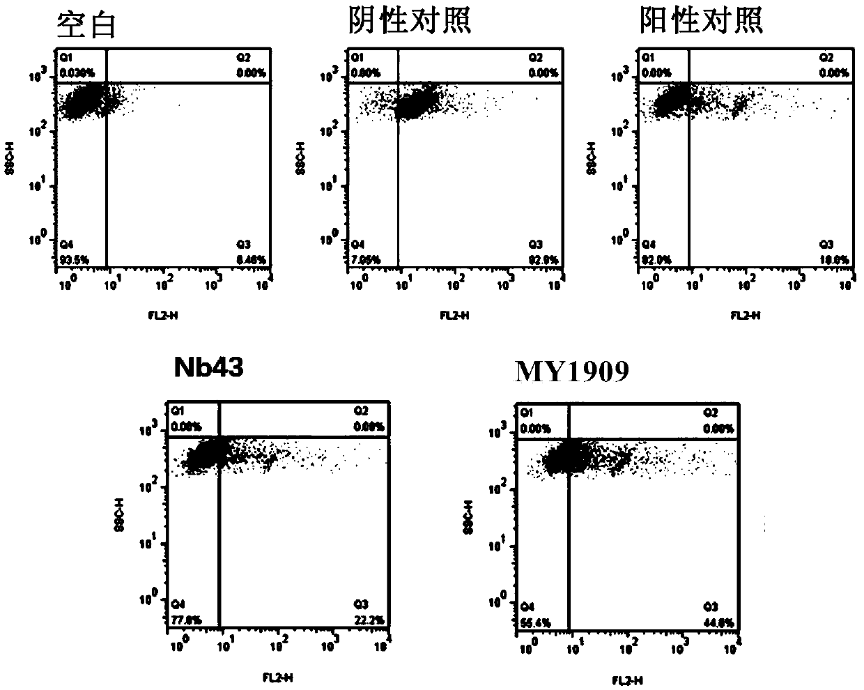 Humanized nanometer antibody resistant to PD-L1 and application thereof