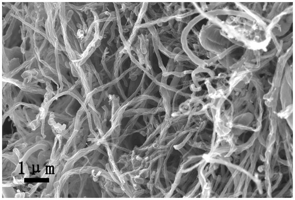 Nitrogen-doped carbon nanotubes filled with nickel and its preparation method and application