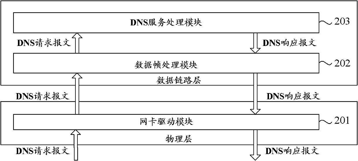 DNS (domain name system) service system and method based on Linux operation system