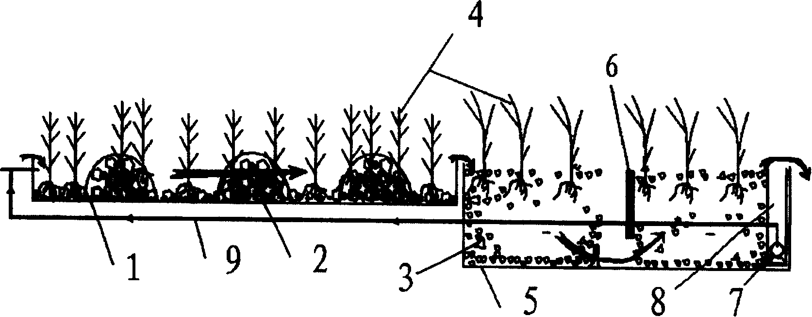 Nutrient-rich river-lake water body and initial rainwater composite artificial wet land treating system