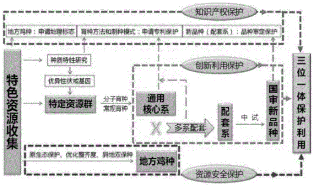 A Breeding Method for Protection and Utilization of Local Chicken Breed Resources