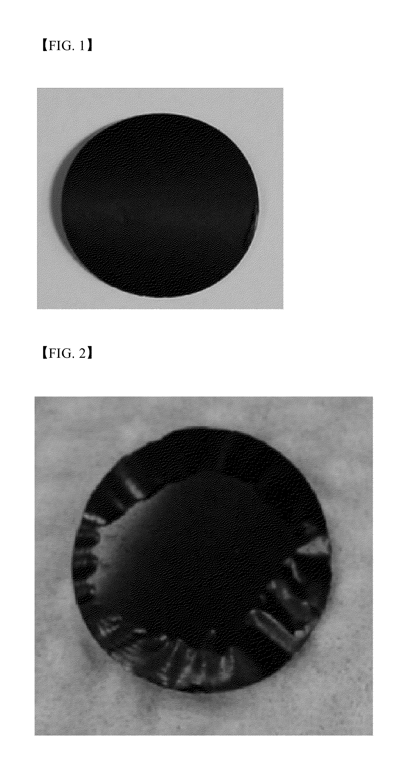 Cathode current collector coated with primer and magnesium secondary battery comprising the same