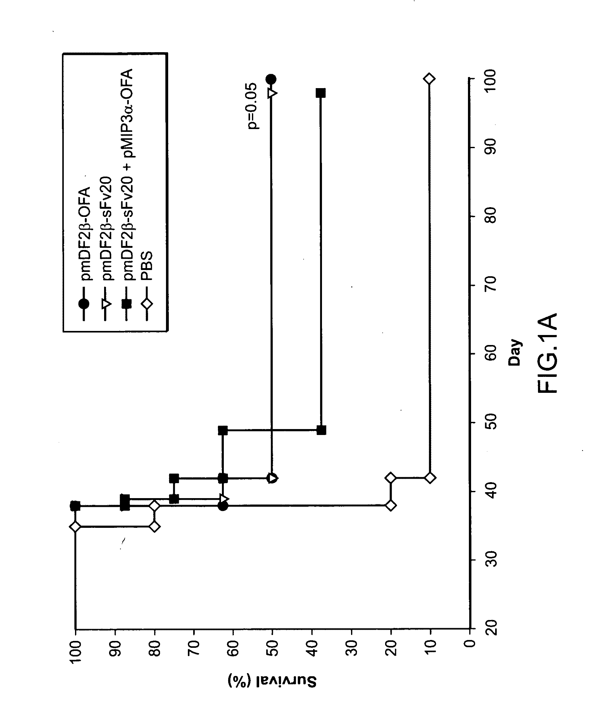Methods and compositions for the treatment and prevention of cancer