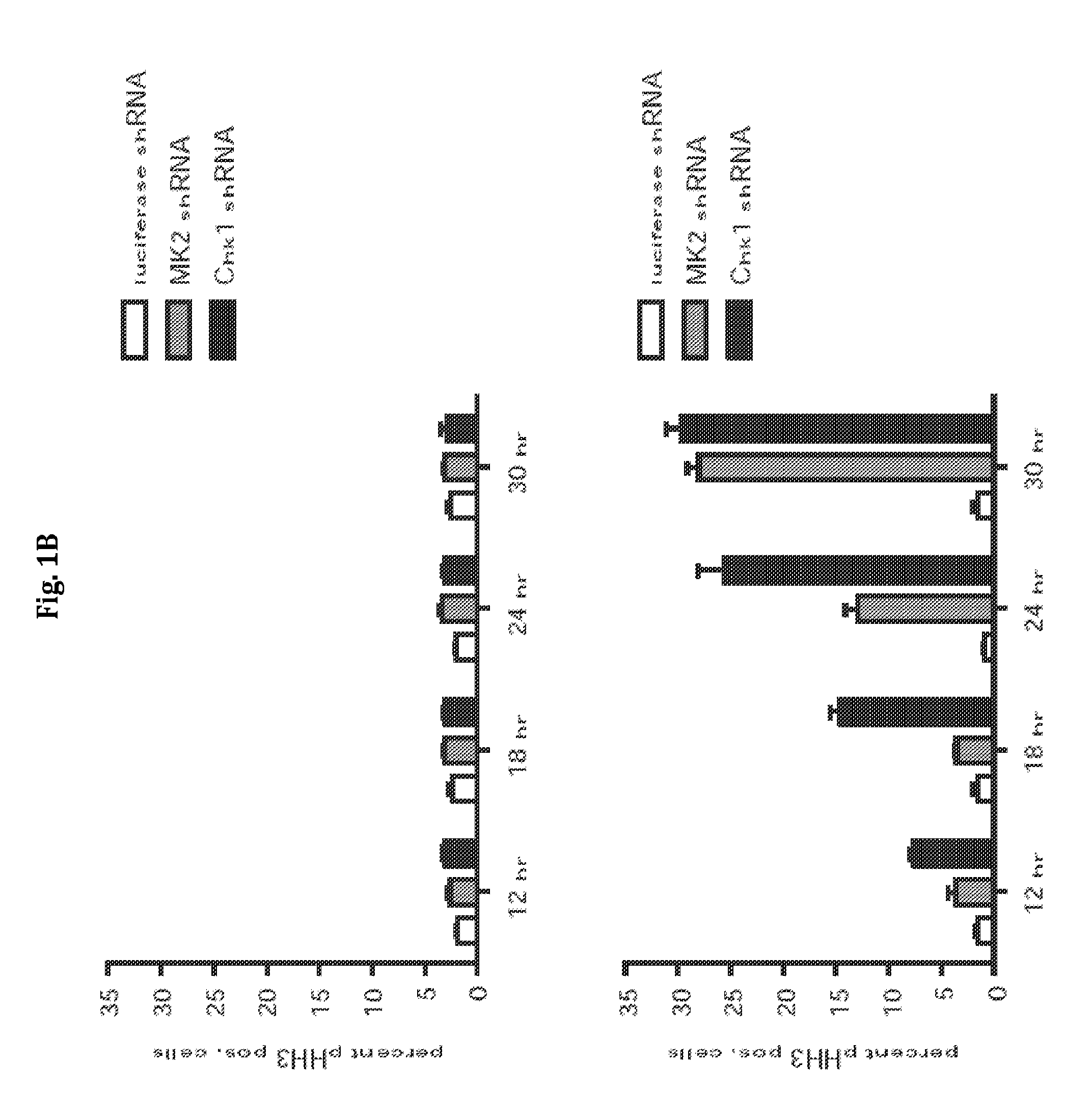 Methods for Diagnosing and Treating Cancer