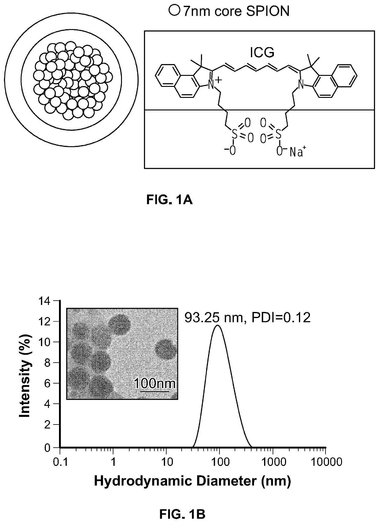 Amphiphilic dye-coated inorganic nanoparticle clusters