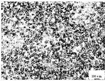 Method for preparing titanium niobium tantalum zirconium biomedical titanium alloys by discharge plasma sintering