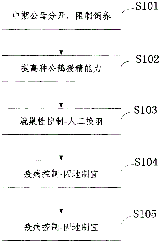 A method for balanced production of breeding geese