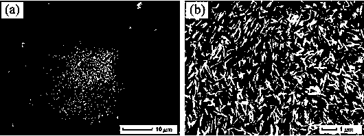 Pulse laser-induced preparation method of zinc oxide nano-structure