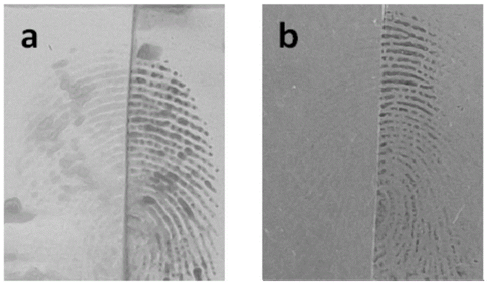 High-resolution latent blood fingerprint image collecting method based on scanning electrochemical microscope (SECM)