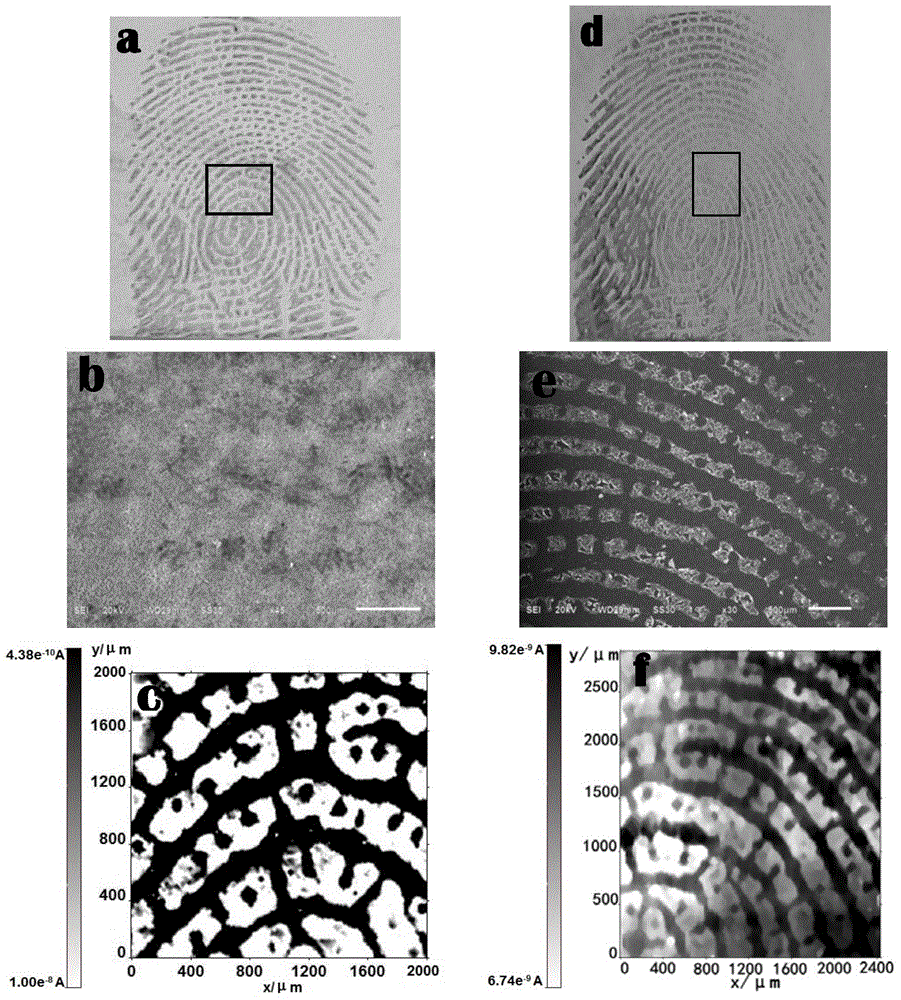 High-resolution latent blood fingerprint image collecting method based on scanning electrochemical microscope (SECM)